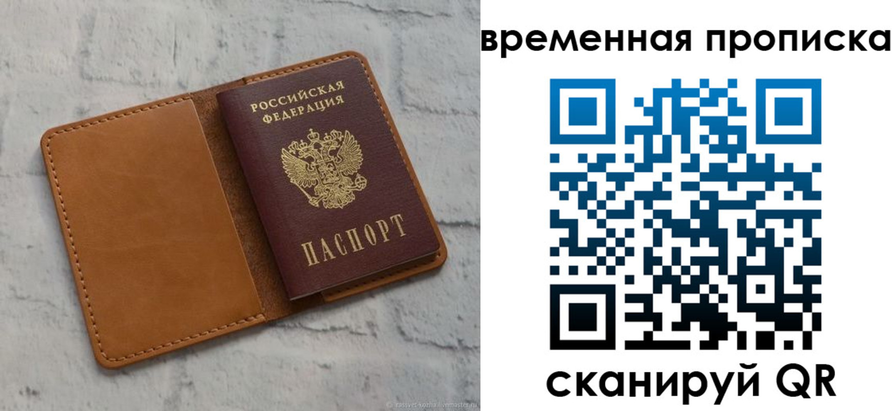 прописка поиск в Новгородской области